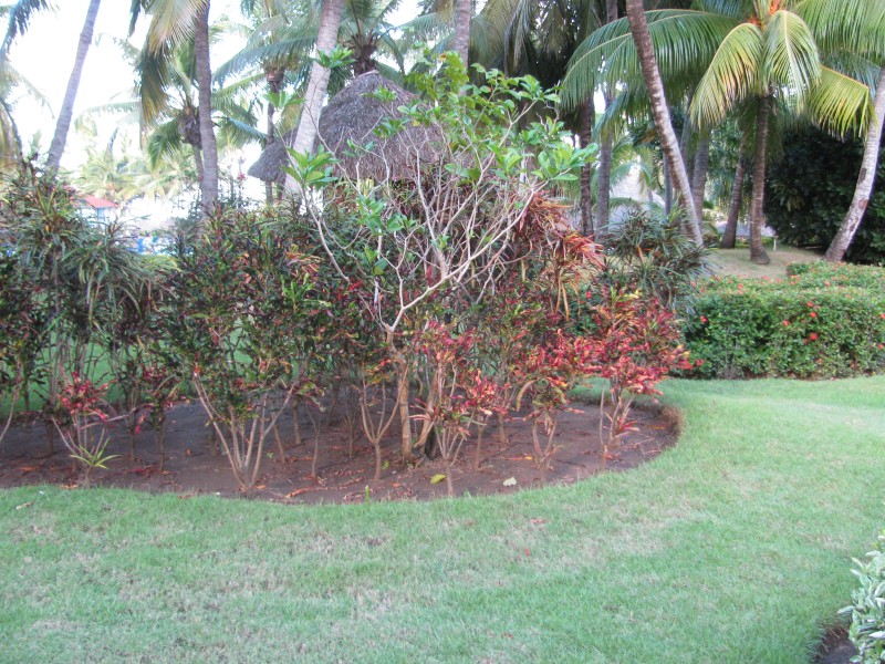 Dominican Republic 312.jpg